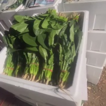 你要啥品质都有
