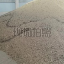 专业做豆腐的黄豆44的蛋白