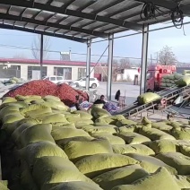 北京红干辣椒大量上市