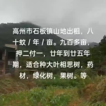 山地出租