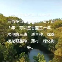 山地出租