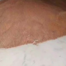 红高粱