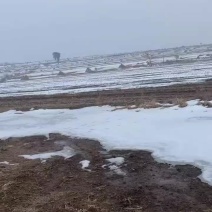 黑土地