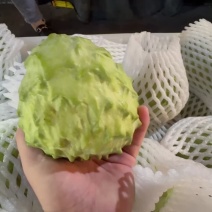 云南释迦果