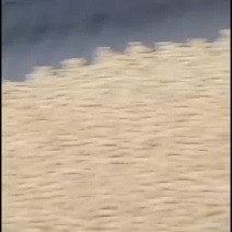东北大豆黄豆大米