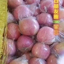 纸加膜红富士大量有货！价格低廉，欢迎新老客户前来洽谈