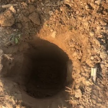 沙土地