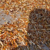 陈皮个，陈皮丝
