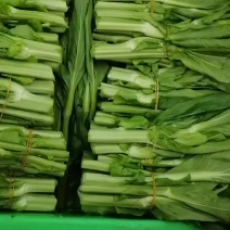 菜苔大量上市品质保证支持视频看货欢迎来电价格优惠