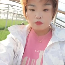 一代葱葱