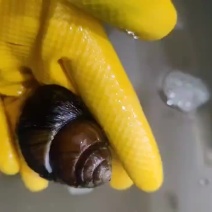 拿去就可以直接食用