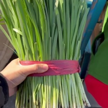 精品菜