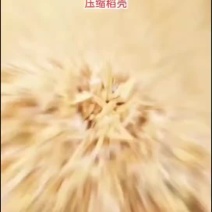 稻壳，稻糠
