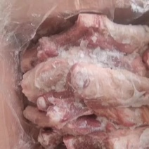 带腱后腿骨