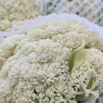 松花