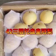 42#三层托盘皇冠梨，口感脆甜汁多，包装美观