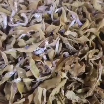 广东省和平农家笋干笋丝