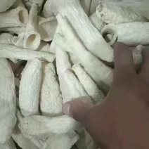 大方冬荪