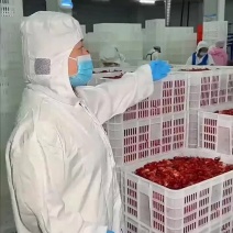 3斤鲜活锁鲜小龙虾27元，包邮到家，清水湛江龙虾尾球特级