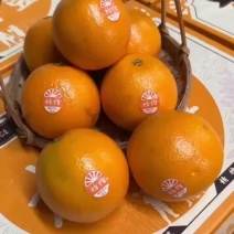 云南玉溪实建褚橙正品发货，皮薄肉厚鲜嫩可口支持一件代发