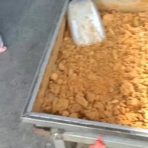 甘蔗糖