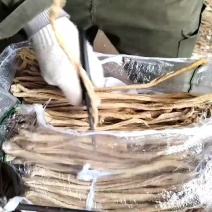 东北绥中县大根白萝卜条