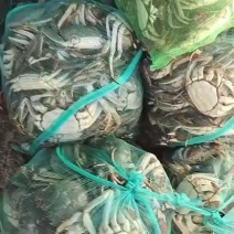 微山湖大闸蟹
