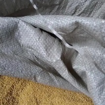 翼城隆化小米.糯米碜