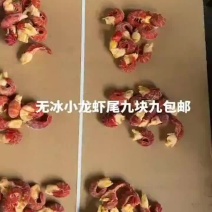 潜江无冰原料虾尾9.9元每斤，包邮到家，特级95粒无冰液