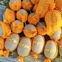 【推荐】哈密瓜大量上市提供一条龙服务欢迎来电咨询合