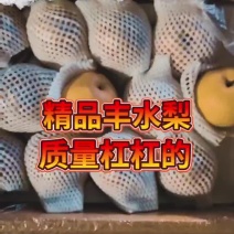 冰糖红梨，丰水梨，表光好，甜度高，脆甜无渣
