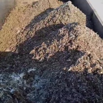 海量肉鸡粪免费送，鸡场地址，湖州南浔区温氏种鸡场