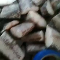 鳕鱼块