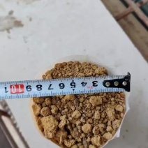 无纺布育苗袋营养袋一次性可降解花盆果蔬育苗容器杯可降解