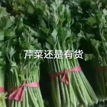 产地芹菜大量供货要的，老板可以联系，这边可以长期供货。