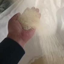 碎米量大的来排产发货