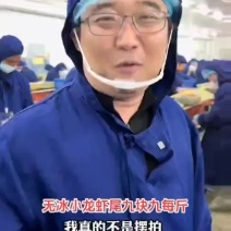 龙虾尾9.9元每斤特级大号无冰衣龙虾尾鲜活速冻活虾现剥虾