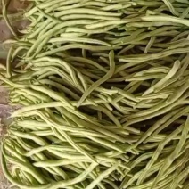 大量供应无丝豆，质量好价格不高，货源充足对接电商大型批发