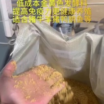 低成本金黄色发酵料提高免疫力更健康养殖#发酵饲料#发酵
