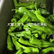 泡椒，线椒，杭椒，罗丝椒，小米椒，皱皮椒，等等