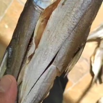 风干红尾鱼欢迎下单
