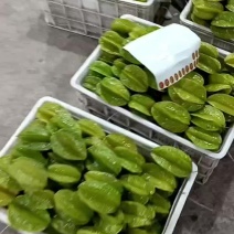 一村一品绿色庄园杨桃