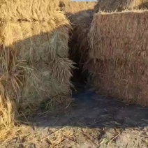 大包稻草柔丝货好价格美丽