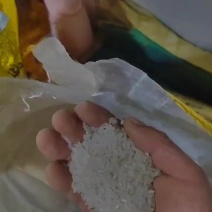 自产自销黑龙江大米，黑土地，寒地种植，