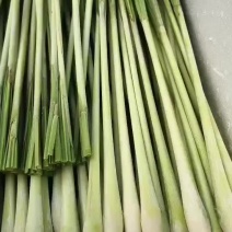 柠檬香茅草