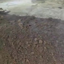腐熟鸡粪约300吨，装上车价格150一吨