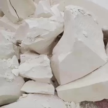 商薯19红薯淀粉