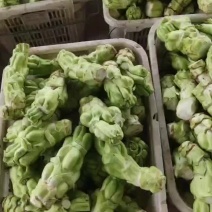 涪陵榨菜
