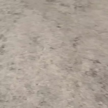 广东筛糠大量供应