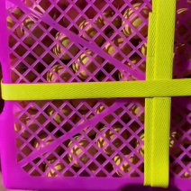 泰国龙眼精品二合一
